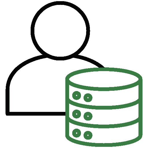 Fast hosting icon
